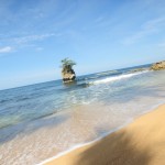 AVIANCA promociona Liberia como destino del mes