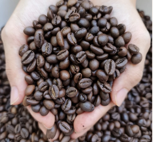 cafe robusta Costa Rica EKA